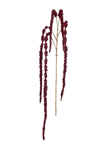 AMARANTHUS DAL KIRMIZI / 107 CM