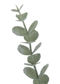 EUCALYPTHUS POLY DAL / 86 CM