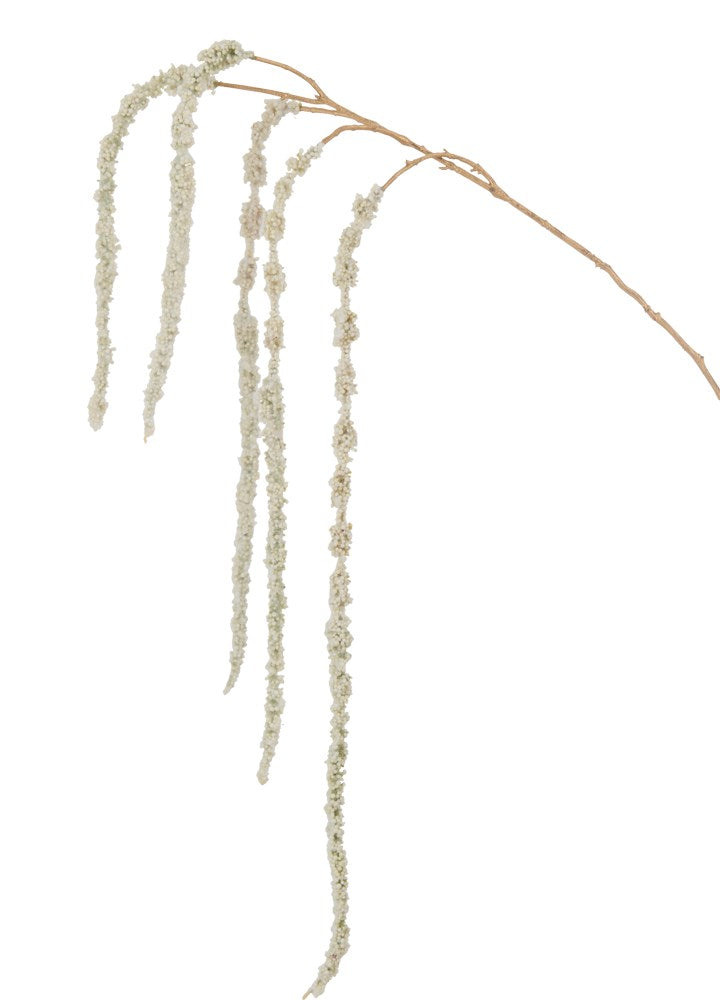 AMARANTHUS DAL / GOLD 107 CM