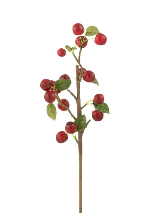 BERRY DAL KIRMIZI / 48 CM