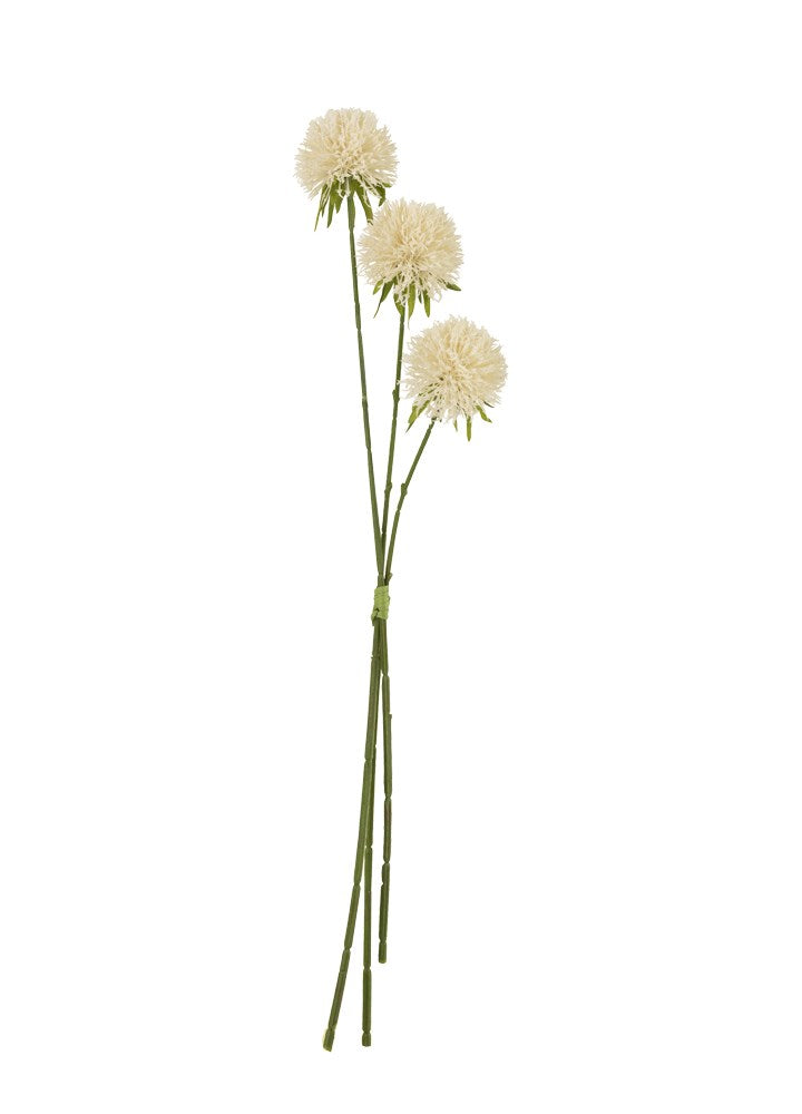 ALLIUM 3'LÜ DAL / 63.5 CM