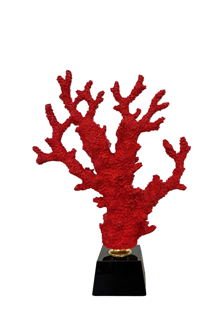 CORAL OBJECT RED / M