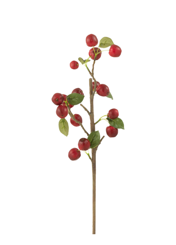 BERRY DAL KIRMIZI / 48 CM