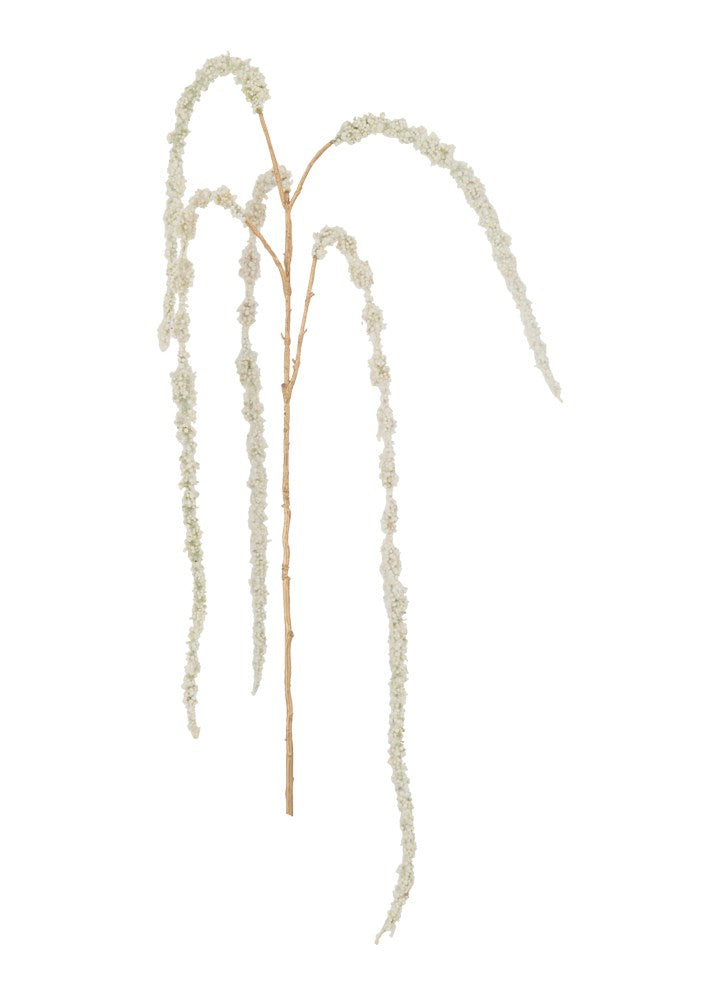 AMARANTHUS DAL / GOLD 107 CM